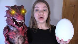 WE HATCHED A DRAGONS EGG