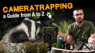 DSLR-Cameratrapping Wildlife Beginners Guide Everything you need to Know