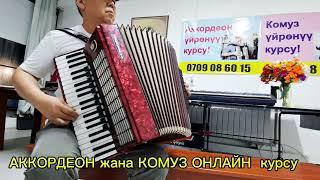 Аккардеон үйрөнүү онлайн  курсу- Кытайлык кыргыздардан сонун ыр