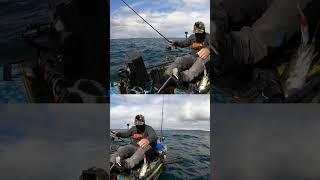 DOUBLE POLLOCK ACTION ISLE of SKYE - lure fishing - kayak fishing uk - sea fishing - hobie fishing