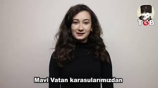 Mavi Vatan Nedir?