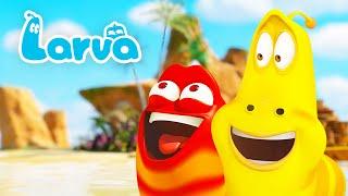 ISLAND ADVENTURE  LARVA  Cartoons for Kids  WildBrain Kids