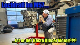 BMW M57 mit Lochfraß l ist er der BESTE BMW Diesel Motor I #306D1 #306D2 #306D3 #306D4 #306D5