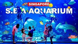 SEA Aquarium Singapore  Largest and Best Aquarium in S.E.A Tour  Resort World Sentosa 🪼
