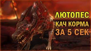 ЛЮТОПЕС - качер корма за 5 сек - RAID Shadow Legends