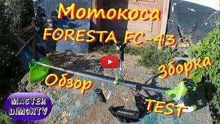 Мотокоса Foresta FC-43 ОбзорЗборкаТЕСТ