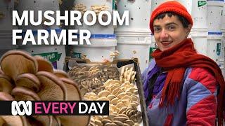 This farm grows 80kg of mushrooms a week   Everyday  ABC Australia