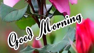 good morning video