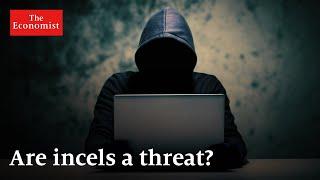Incels how online extremism is changing
