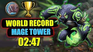 Guardian Druid  Mage Tower Challenge Completed in 2 Minutes 47 Seconds World Record Dragonflight