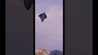 Big 🪁Kite flying in Jammu 2022 kite flyingkite flying in jammukite flying in jammu  #yogesh01