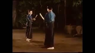 Tenshin Shoden Katori Shinto Kodachi