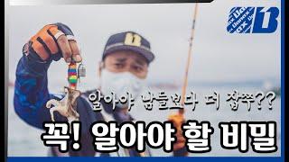 쭈꾸미 갑오징어 낚시 할때 무조건 알고가야 할 꿀팁 비밀