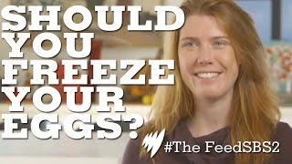 Freezing Eggs I The Feed