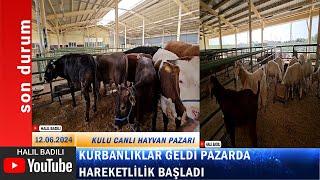 PAZARDA HAREKETLİLİK BAŞLADI 4K ULTRA HD VİDEO