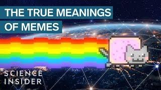 Real Meaning Behind The Word Meme