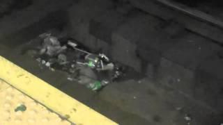 Rats in Subway Station