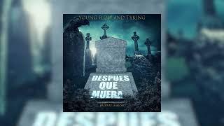 Young Flow Tyking - Despues Que Muera Audio Oficial