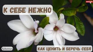 К себе нежно. Найди путь к своей ценности и значимости. Книга полностью.