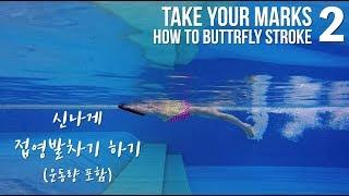 ENGCHN 이현진 수영 TYM  접영 발차기 연습하기 운동량포함   How to butterfly stroke - 2