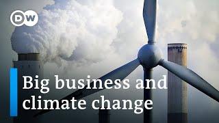 How committed are companies worldwide to climate protection?  DW Business