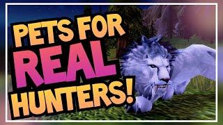 RAREST Obtainable Hunter Pets  Unique Pet Guide Ep. 2  World of Warcraft BFA & Shadowlands