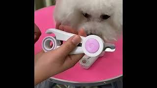 Led Pet Nail Scissors Dog Nail Cutter Cat Nail Clippers With Led Lights