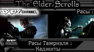 The Elder ScrollsРасы Тамриэля КаджитыЛор