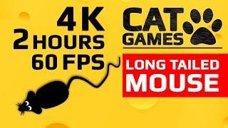 CAT GAMES -  LONG TAILED MOUSE ENTERTAINMENT VIDEO FOR CATS TO WATCH 4K 60FPS 2 HOURS