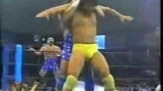 Top Ten Moves Of The Steiner Brothers