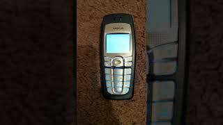 Nokia 6010 startup