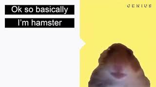 Genius - Staring Hamster Web Cam Hamster Meme