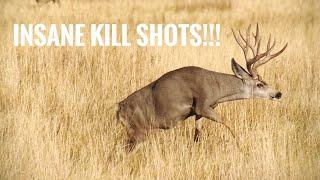 TOP 44 BEST HUNTING KILL SHOTS BOW AND RIFLE