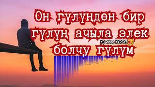 Он гулундун Бир гулун ачыла элнкк  болчу гулум 