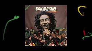 Stir It Up – Bob Marley and The Chineke Orchestra Visualizer