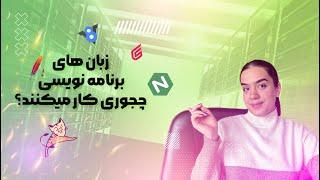 زبان های برنامه نویسی چجوری کار میکنند؟ وب سرورها چی هستند؟