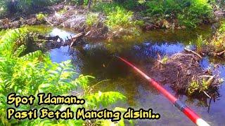 Ratusan Kali di pancingin Ikannya Masih Banyak  Mancing Ikan Kapar