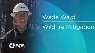 Wade Ward Fire Mitigation