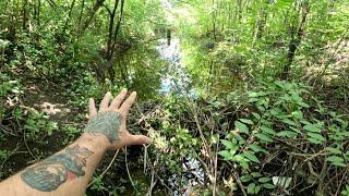 “BEAVERS OCEANIC MISHAP” Beaver Dam Removal Unleashes Fury