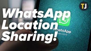 Sharing Your Location on WhatsApp EXPLAINED