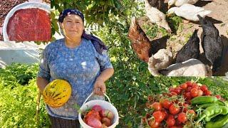 PESTİLLERİM KURUMUŞ TAVUKLARIMA BAKIYORUZ VE BAHÇE HASAT ZAMANI