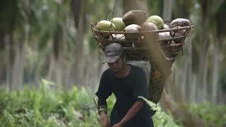 KARA Indonesia Produk Olahan Kelapa Pilihan