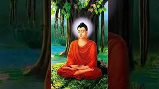 Buddha Sasanam Ciram Titthatu Semoga Ajaran Buddha bertahan lama