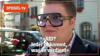 Gewählt aber machtlos Wie geht es mit der AfD weiter?  SPIEGEL TV