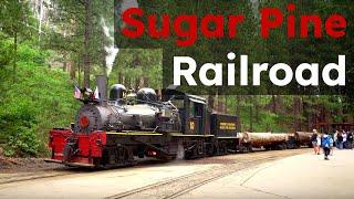 Riding the Yosemite Mountain Sugar Pine Railroad