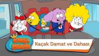 Kaçak Damat ve Dahası - Kral Şakir