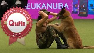 Amazing Dog Performs CPR Squats and Press Ups in Heelwork To Music Routine  Crufts 2017