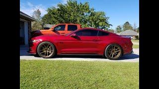 2015 Mustang with Stainless Power headers. Mishimoto H-pipe and Roush axle back. Cold start.