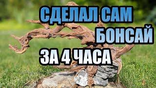 Бонсай для дизайна аквариума. Ручная работа.