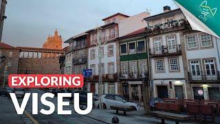 Living in Viseu Portugal’s Affordable Green Hidden Gem - Cool Cat Portugal